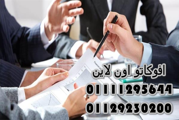 خطوات تأسيس شركة في مصر