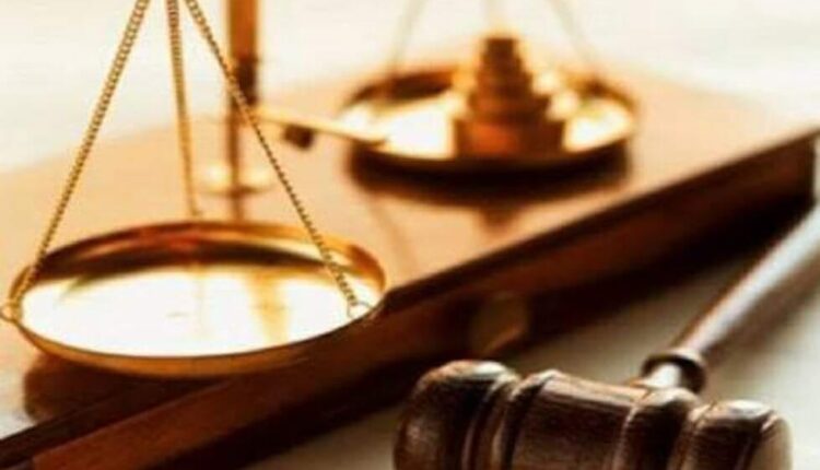 اشهر محاميه متخصصه في تأسيس الشركات في الغردقه