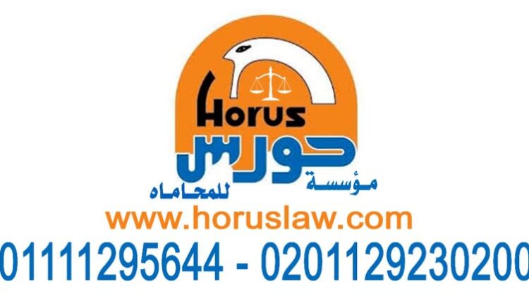 A lawyer who specializes in personal status cases