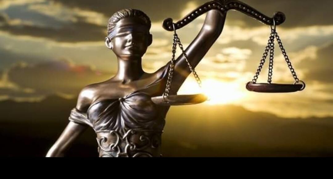 اشهر محاميه في مصر