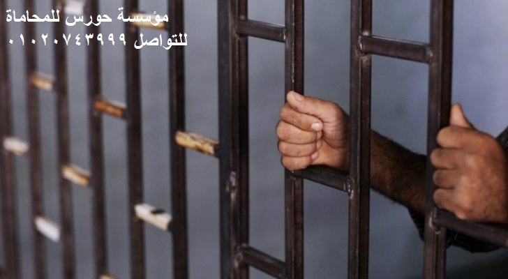  وقف تنفيذ حكم حبس متجمد نفقة 