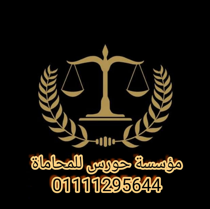Lawyer Egypt