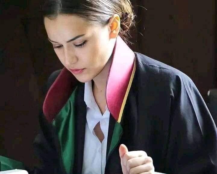 تظهير الشيكات في القانون المصري