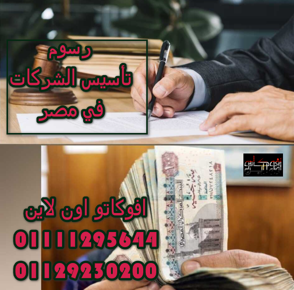 رسوم تأسيس الشركات في مصر 2024 - محامي تأسيس شركات