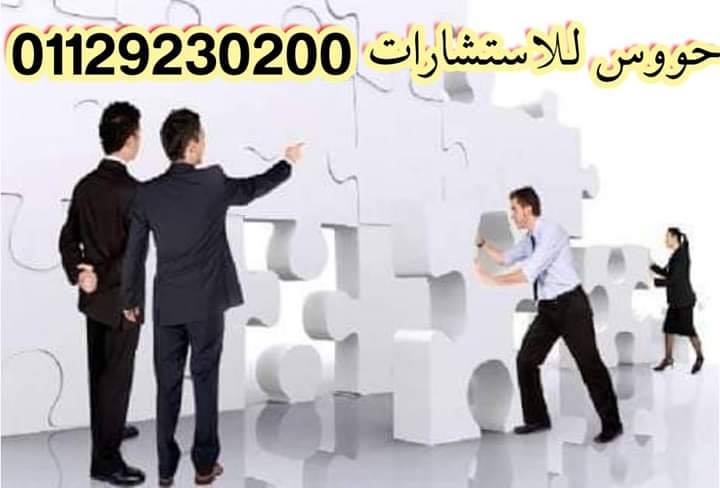 تأسيس الشركات في مصر pdf لعام 2023