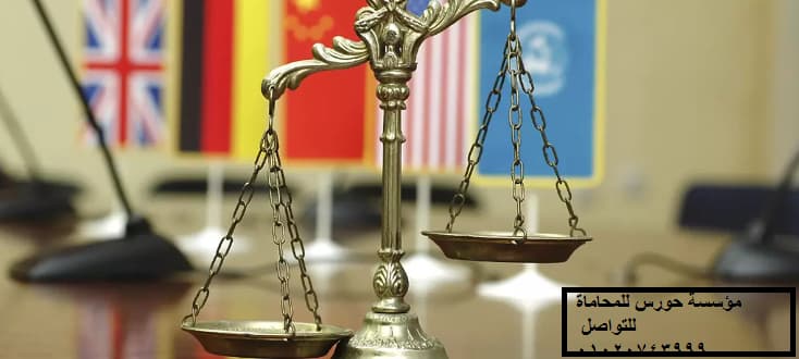 محامي قانون دولي