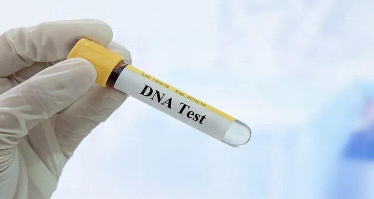 إثبات النسب في المحاكم